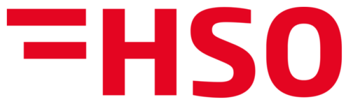 hso wirtschaftsschule schweiz logo